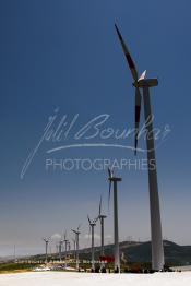 Image du Maroc Professionnelle de  La région de Melloussa au sud-est de Tanger voit aujourd'hui son identité enrichie par le parc éolien Khalladi de 120 MW, le plus grand d'Afrique, dont le coût global s'élève à 2,75 MMDH  après son inauguration par SM le Roi du Maroc Mohammed VI, Lundi Juin 28, 2010. (Photo / Abdeljalil Bounhar)


